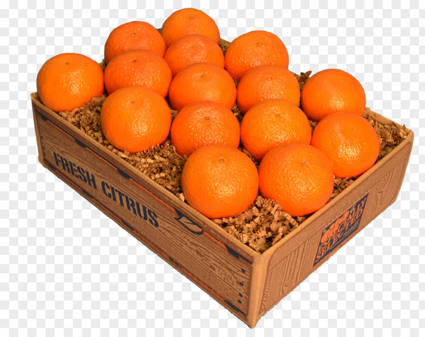 Orange Clementine Tangerine Tangelo Mandarin PNG