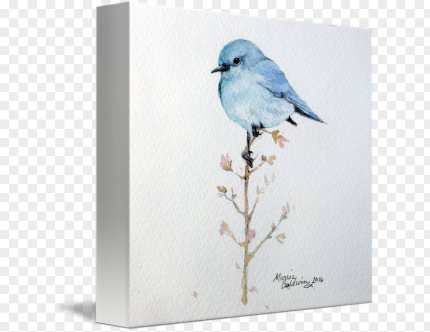 Paint American Sparrows Bucky Barnes Blog Watercolor Painting PNG