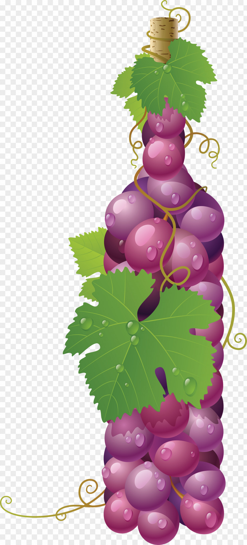 Red Grape Image Wine Common Vine Art Painting PNG
