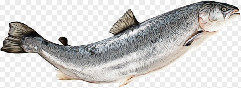 Sardine Oily Fish Capelin Animal Figurine PNG