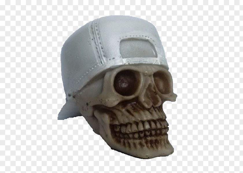 Skull Skeleton Jaw PNG