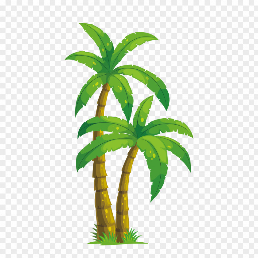 Vector Coconut Tree Free Download Arecaceae Illustration PNG