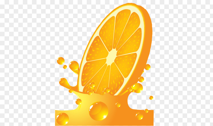 Vector Orange Juice Clip Art PNG