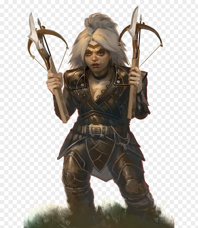 Dwarf Dungeons & Dragons Rogue Gnome Assassin PNG