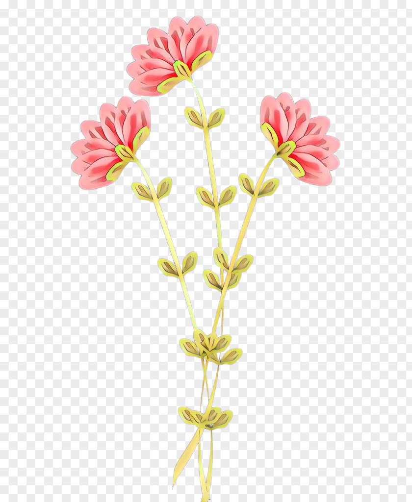 Flower Cut Flowers Plant Pedicel Stem PNG