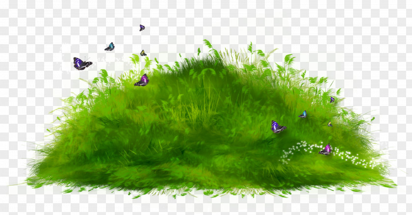 Grass Desktop Wallpaper Clip Art PNG