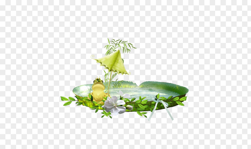 Leaf Herbalism Alternative Health Services Desktop Wallpaper PNG