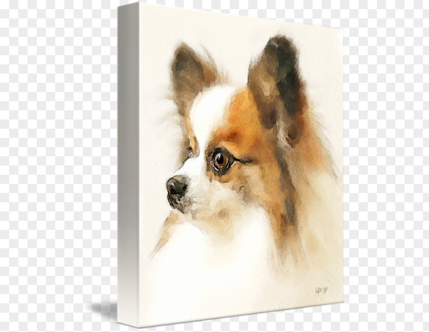 Lovely Puppy Dog Watercolor Painting Art Portrait PNG