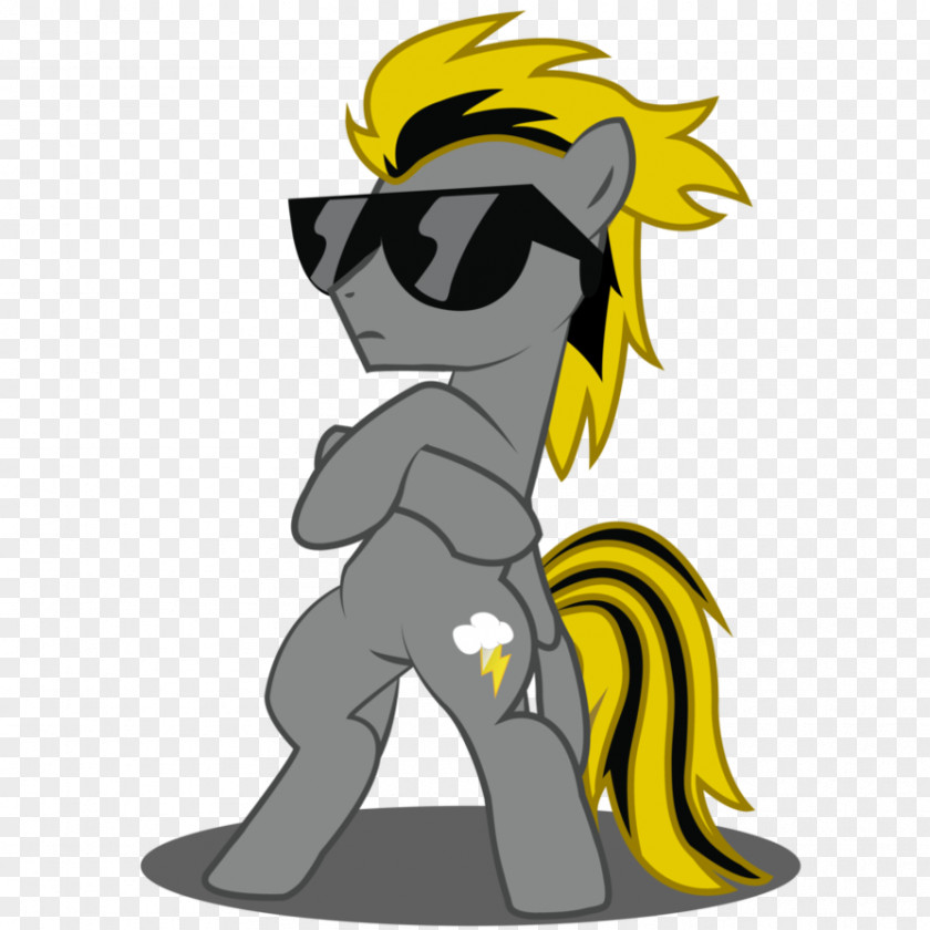 My Name Is Pony Horse Rainbow Dash Fluttershy PNG