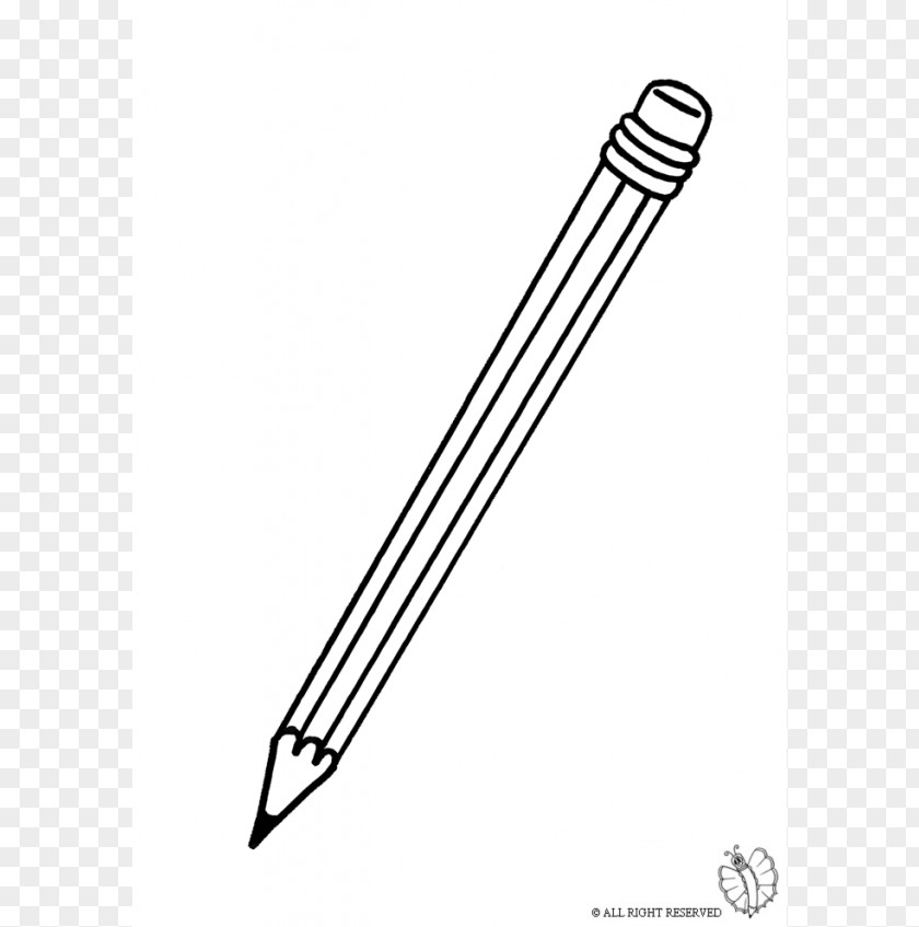 Pencil Drawing Line Art Photography PNG