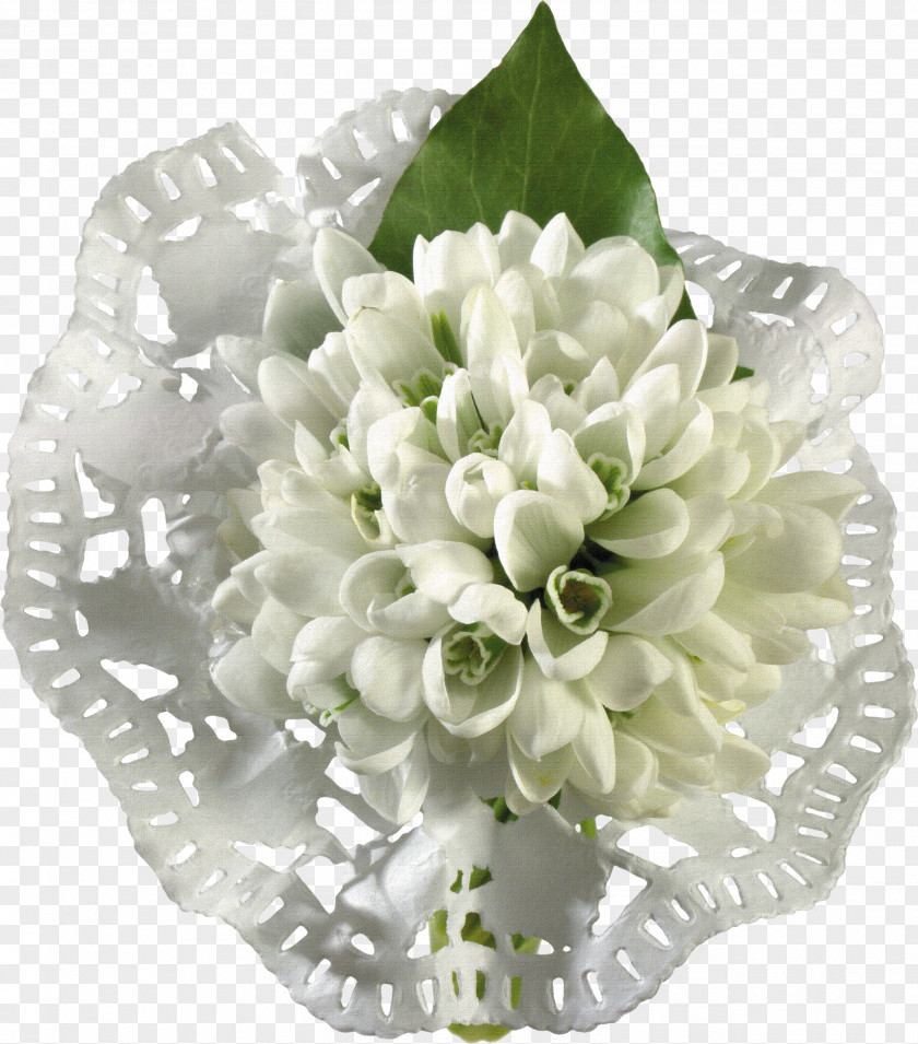 Bouquet Of White Material Eid Al-Fitr Al-Adha Bayram Message Ramadan PNG