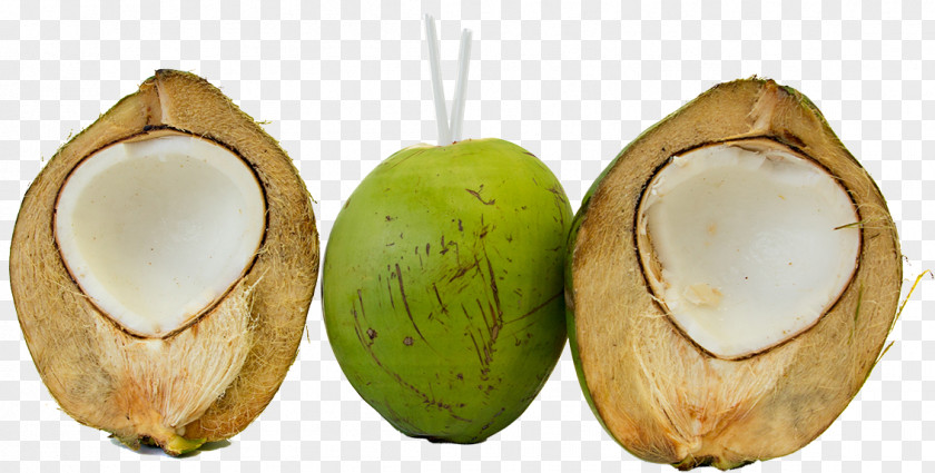 Coconut Water Health Shake Oil Fruit PNG