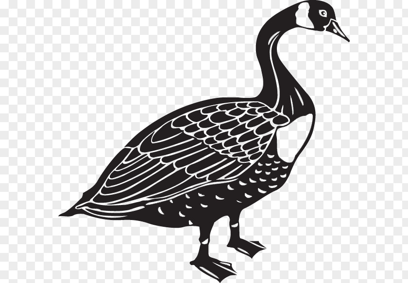 Goose Canada Bird Clip Art PNG