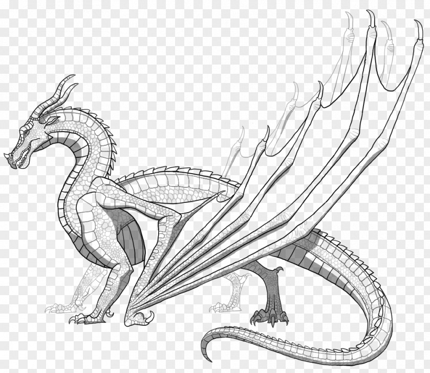 Wof Wings Of Fire Coloring Book Dragon PNG