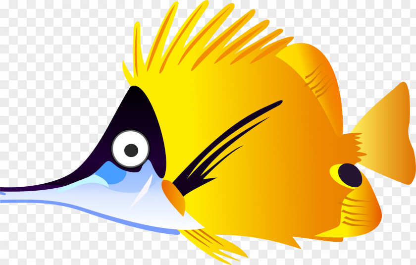 Cartoon Fish Goldfish Tropical Clip Art PNG