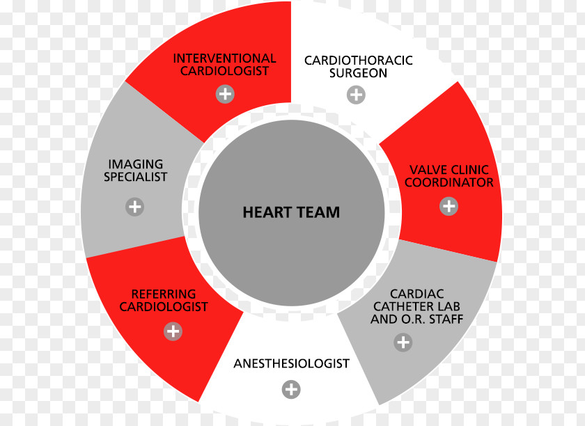 Heart Percutaneous Aortic Valve Replacement Cardiology Team PNG