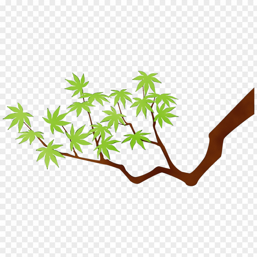 Plant Stem Tree Leaf Branch PNG