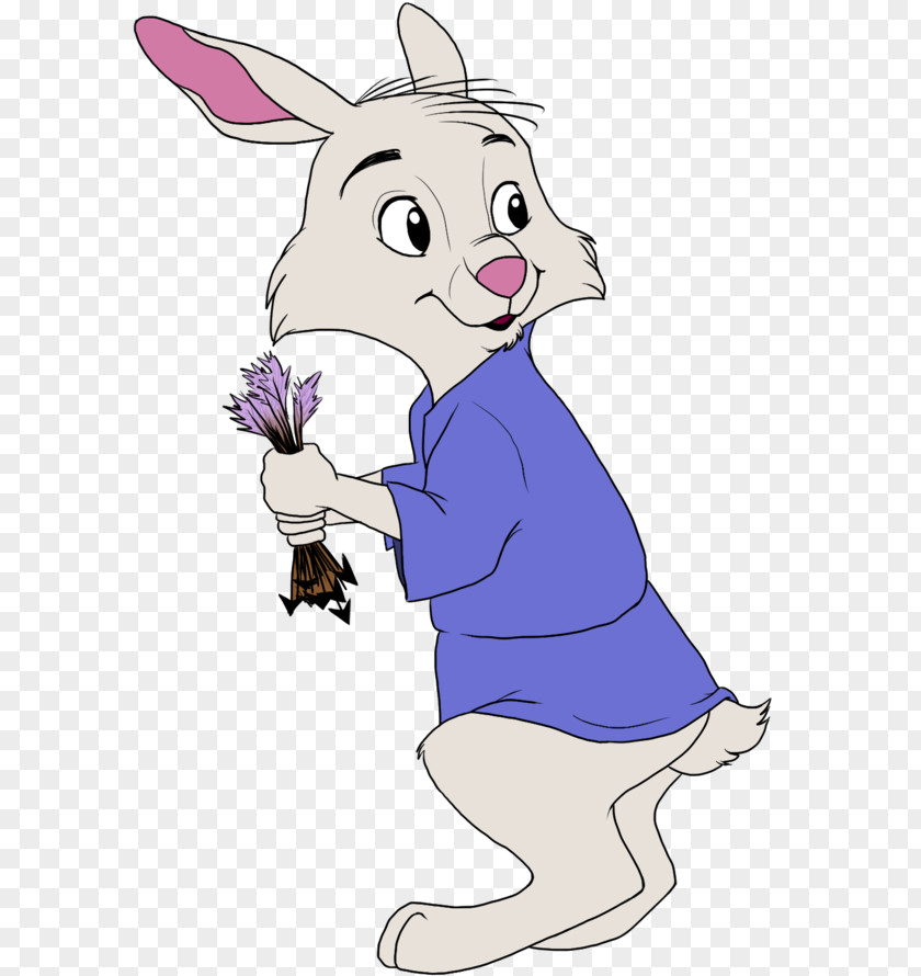 Animation Domestic Rabbit Robin Hood Lady Marian Film PNG