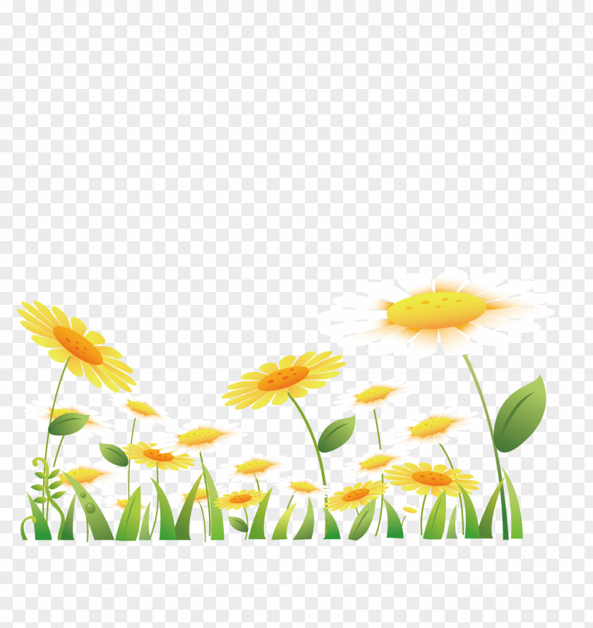 Cartoon Vector Painted Sunflowers Weeping Willow Common Sunflower PNG