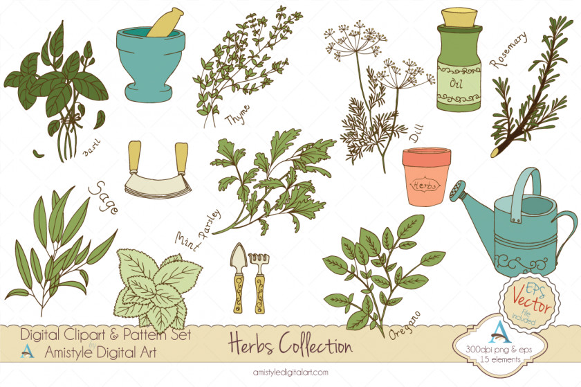 Cliparts Collection Herb Spice Clip Art PNG