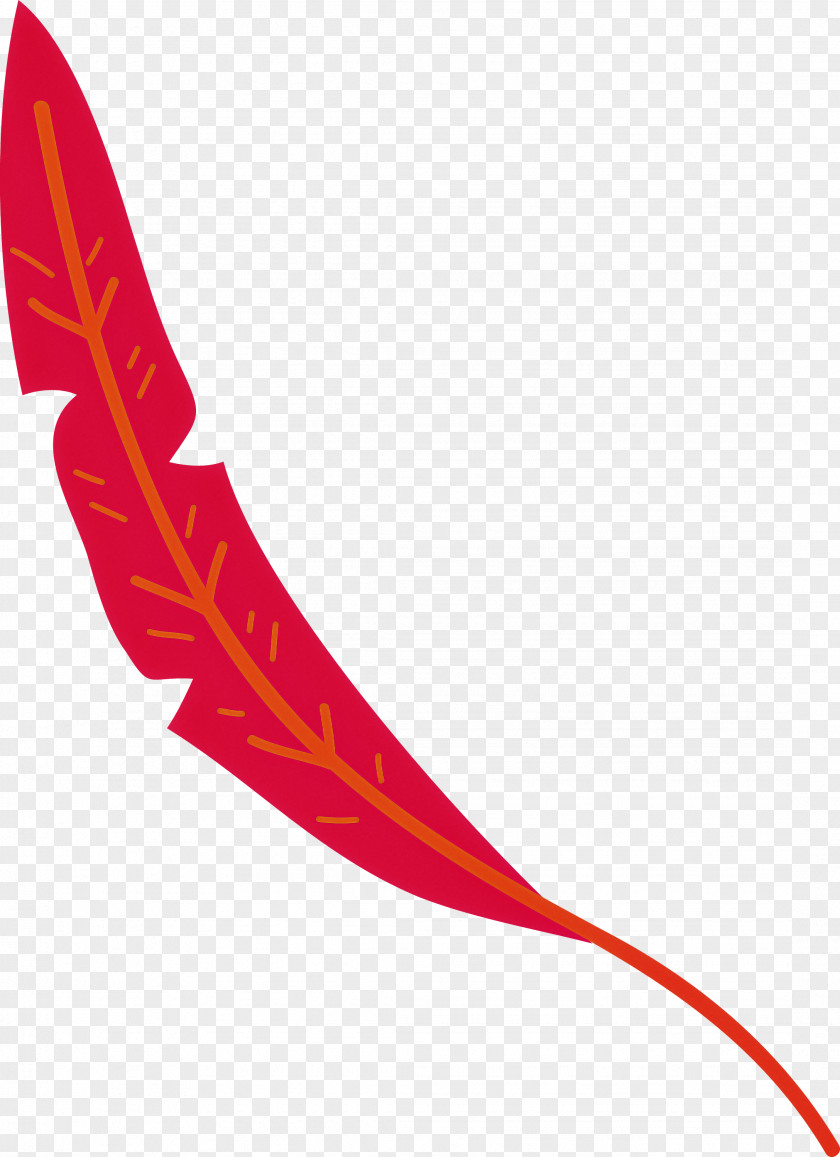 Line Art Cartoon Angle Birds Meter PNG