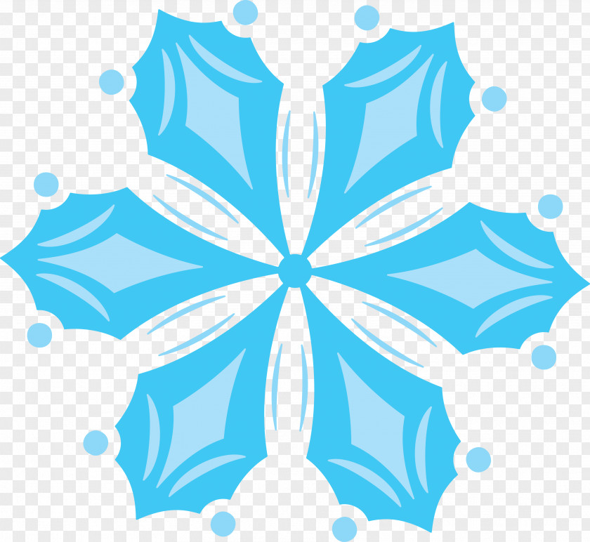 Snowflakes Snowflake Winter PNG