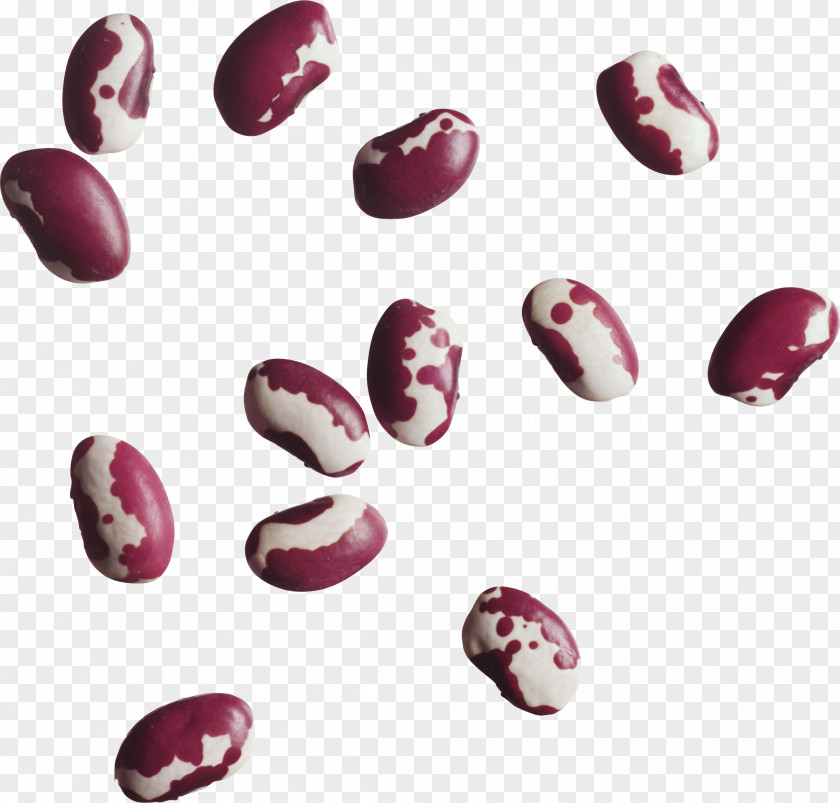 Black Beans Common Bean Legume Lentil Clip Art PNG