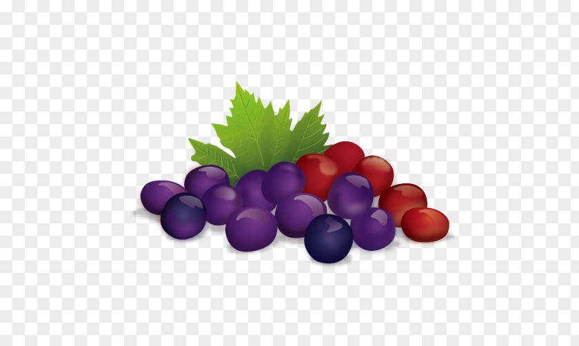 Grape Juice Fruit Illustration PNG