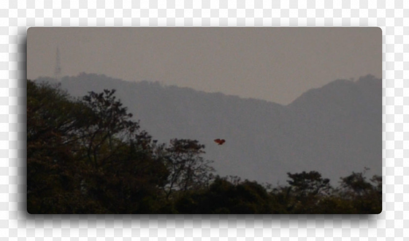 Marte Otra Vez Unidentified Flying Object Costa Rica Extraterrestrial Life 0 PNG