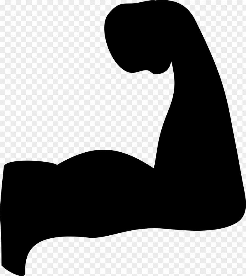 Biceps Computer Software Clip Art PNG