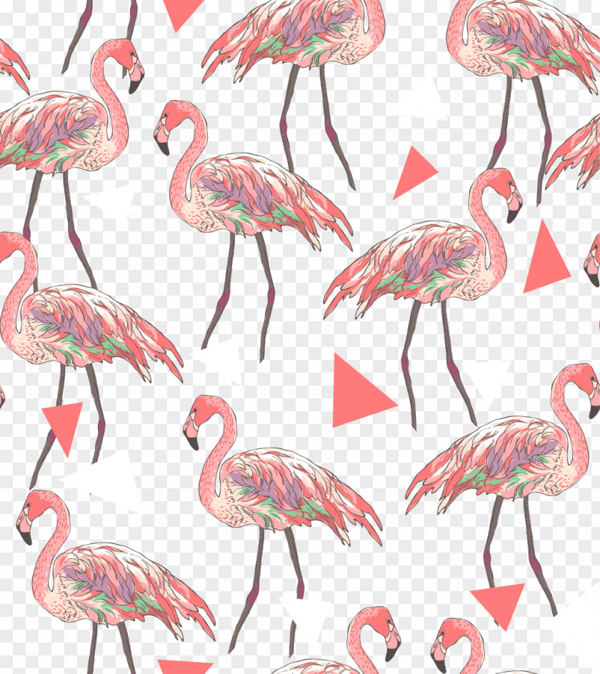 Ostrich Shading American Flamingo Shutterstock Pattern PNG