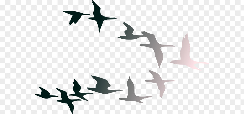 Spring Silhouette Cliparts Bird Flight Clip Art PNG
