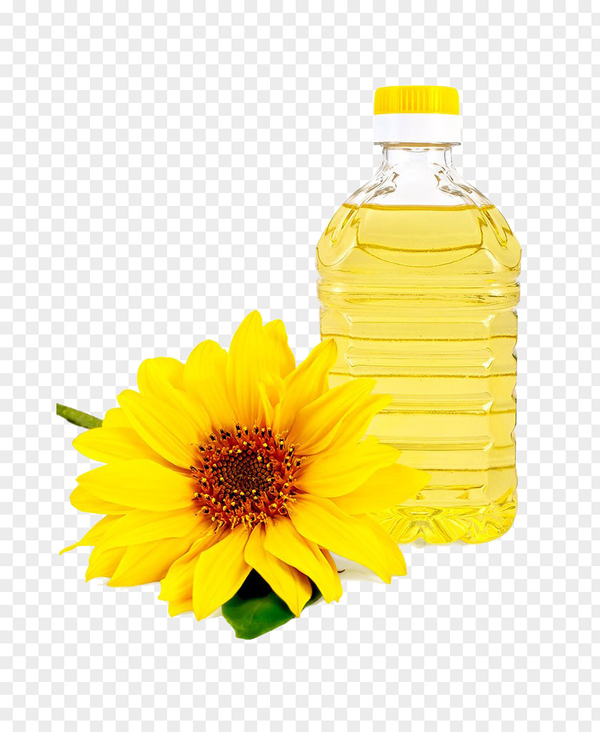 Sunflower Oil Photography Common Vegetable Cooking PNG