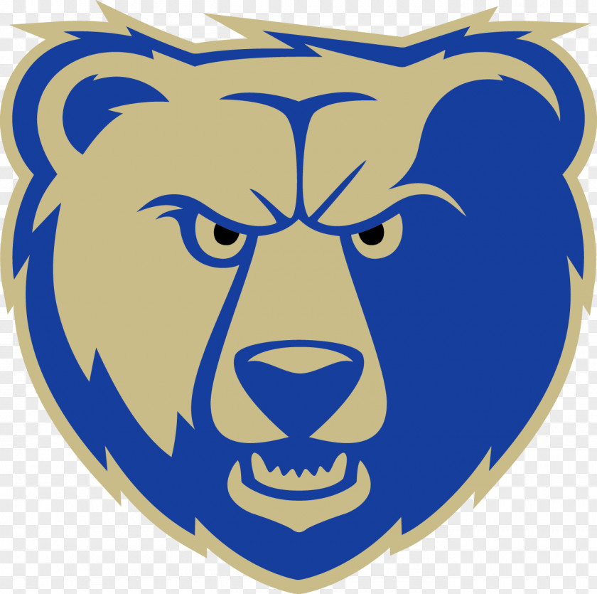 Bear Chicago Bears Logotipos 2 Grizzly PNG
