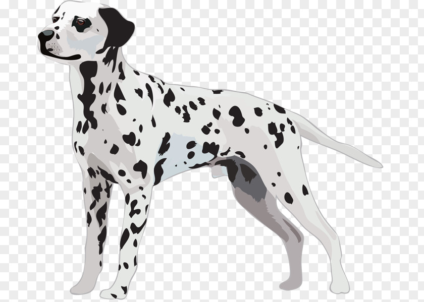 Dalmatian Puppies Silhouette Dog Greeting & Note Cards Puppy Tote Bag PNG