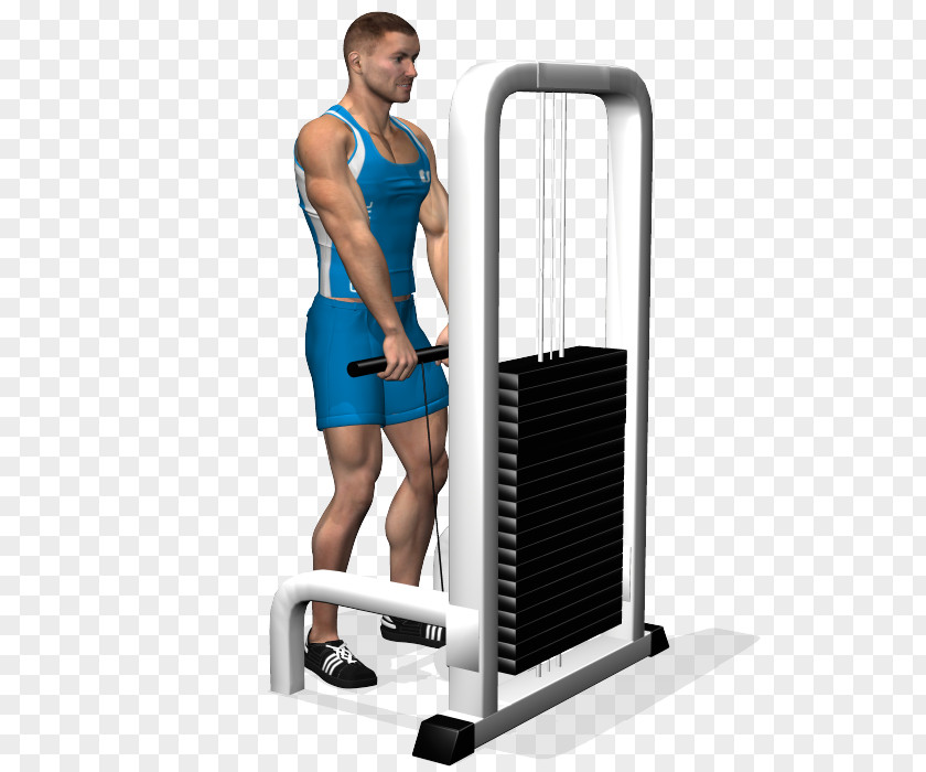 Design Shoulder Fitness Centre PNG