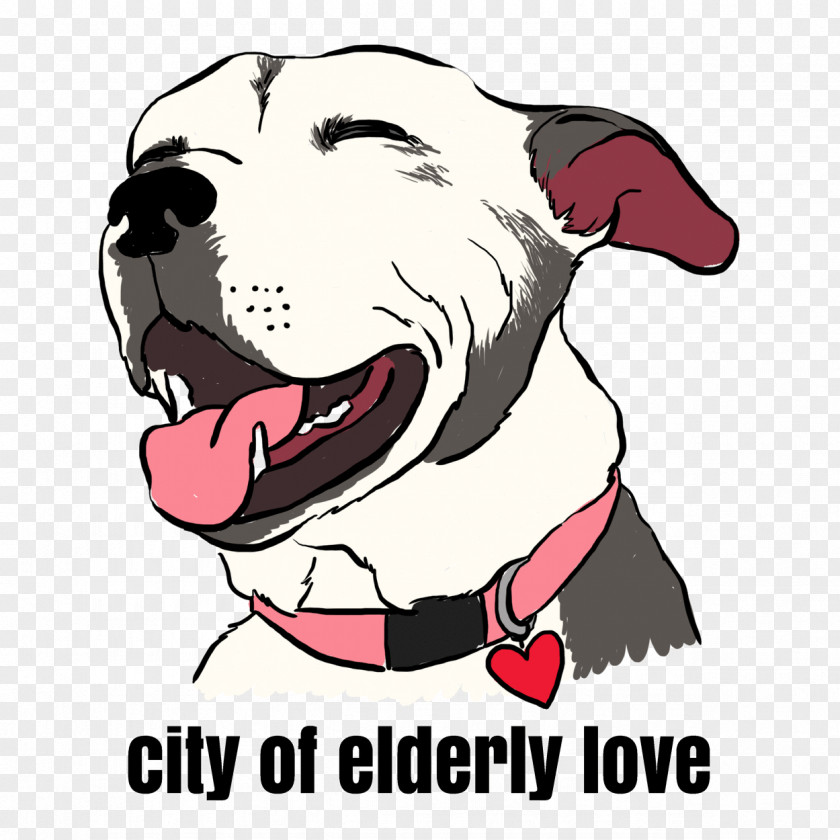 Dog Breed Philadelphia Old Age Pet PNG