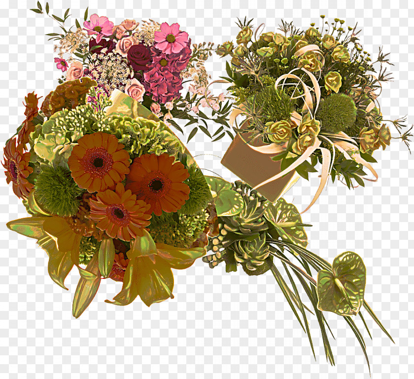 Gerbera Flowering Plant Floral Design PNG