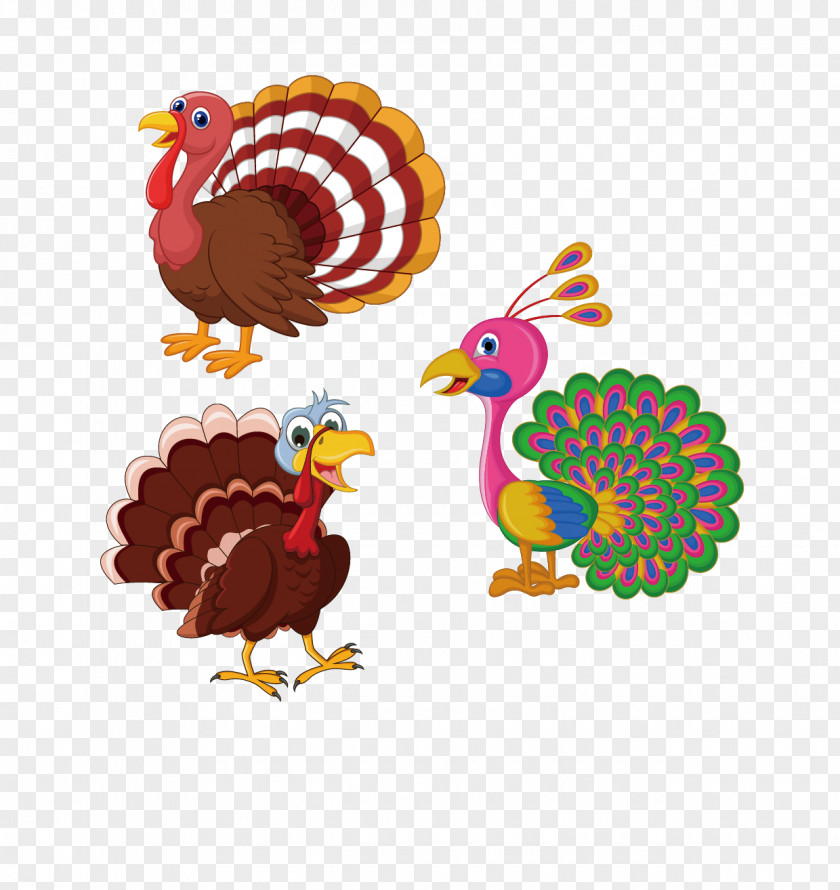 Hand-painted Cartoon Peacock Vector Material Turkey Clip Art PNG