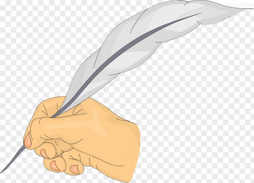 Holding A Quill Pen Feather Illustration PNG