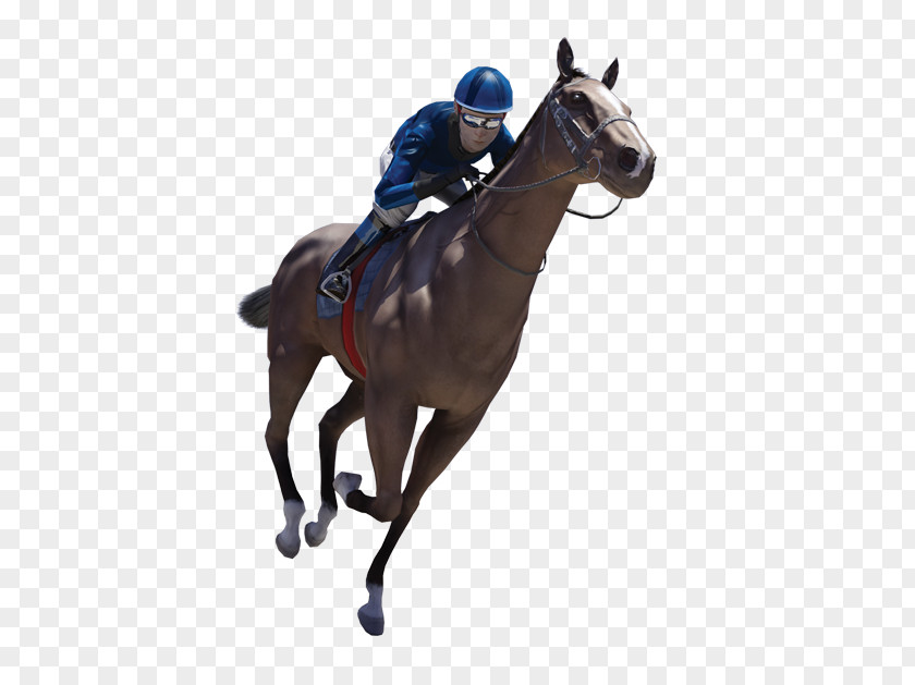Horse Racing Jockey Stallion Sports Betting PNG