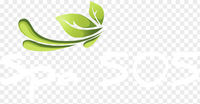 Leaf Logo Green Desktop Wallpaper PNG