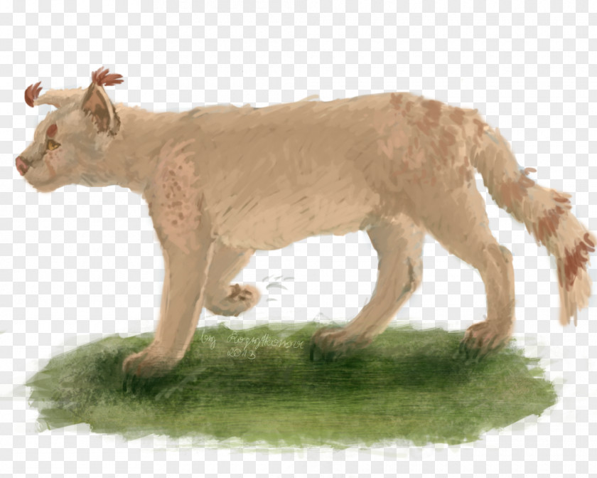 Lion Big Cat Terrestrial Animal PNG