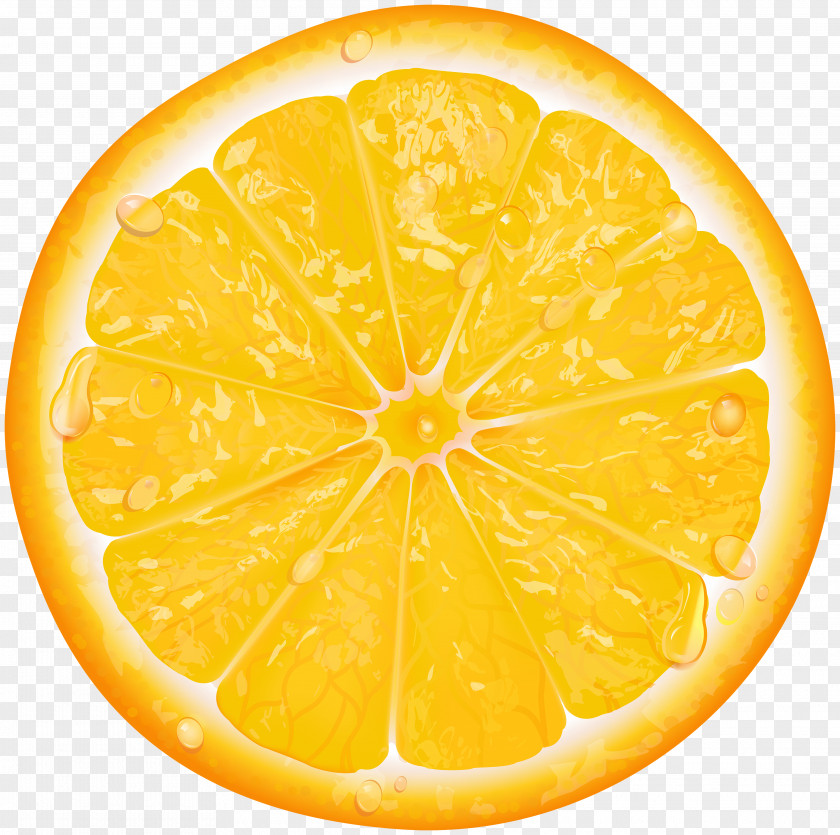 Orange Lemon Tangerine Clip Art PNG