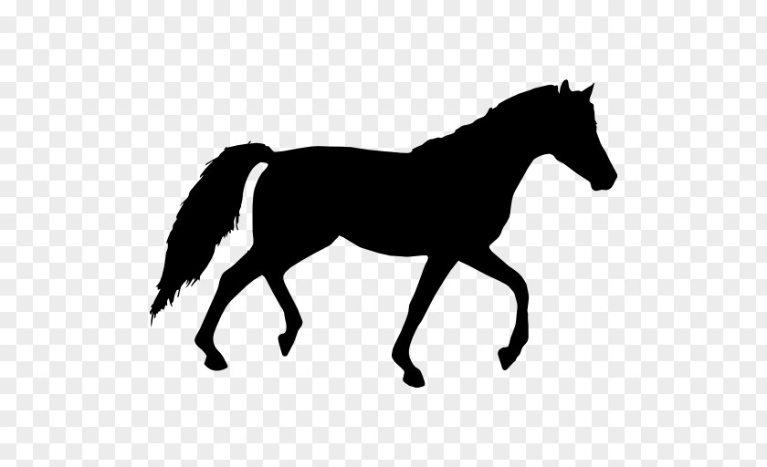 Walking Horse Tennessee Equestrian Clip Art PNG