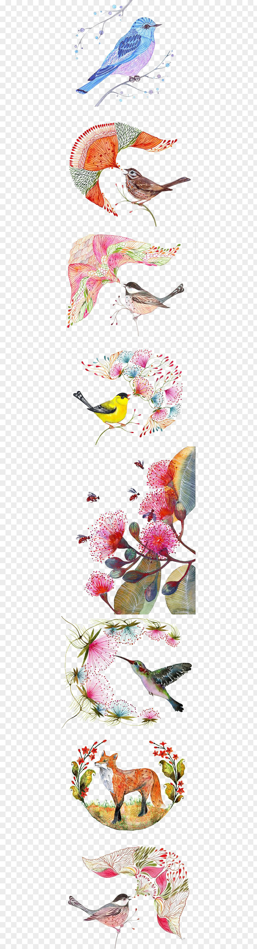 Bird Pattern Owl Drawing Watercolor Painting Illustration PNG