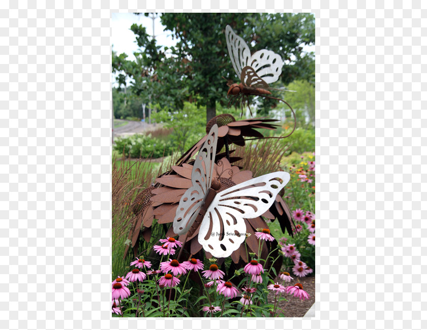 Butterfly Brush-footed Butterflies Yard Meter Tree PNG