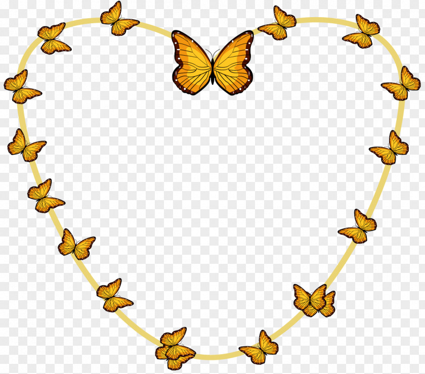 Painted Border Vector Butterfly Euclidean PNG