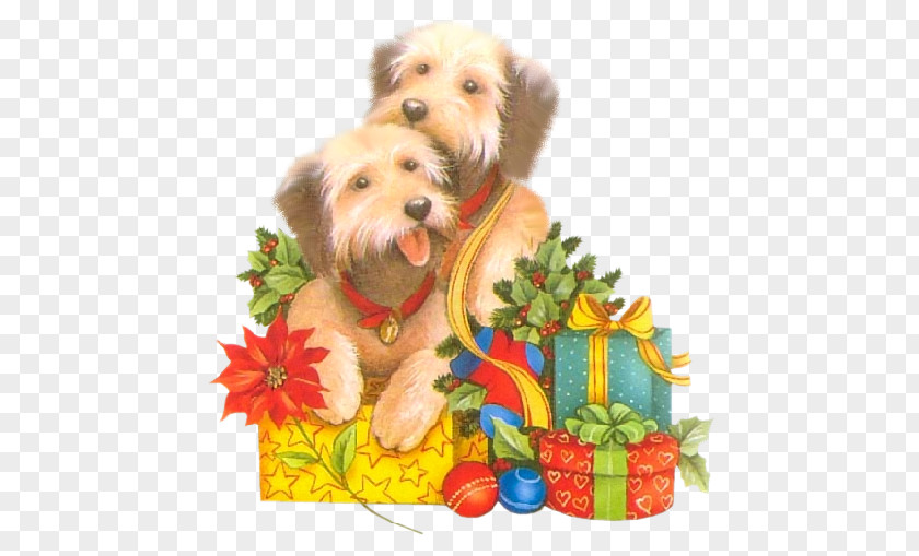 Puppy Yorkshire Terrier Norfolk Christmas Ornament Maltese Dog PNG