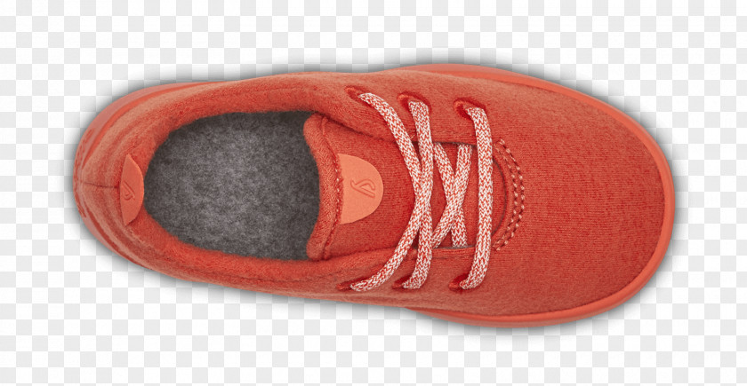 Slipper Sneakers Shoe Allbirds PNG